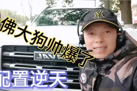 哈佛大狗太帅气了美观大方回头率极高三大件皮实可靠耐用性能极高视频封面