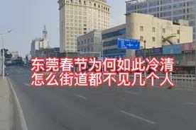 东莞春节为何如此冷淸视频封面
