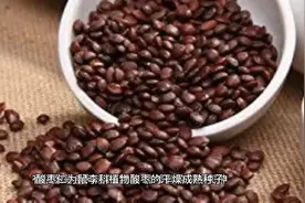 告诉你为什么酸枣仁可以治疗失眠
