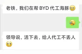某合资大厂给比亚迪海豚代工！领导：活下去，给比亚迪代工不丢人视频封面