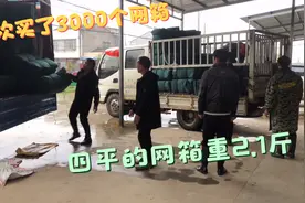 一次买3000个黄鳝养殖网箱，4平方的21块一个重2.1斤，这划算吗？视频封面