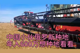 中国小伙俄罗斯种地，一年纯收入600多万，想来俄罗斯种地了解下视频封面