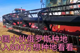 中国小伙俄罗斯种地，一年纯收入600多万，想来俄罗斯种地了解下视频封面
