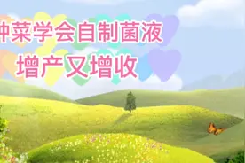 教你自制红糖酵母菌液，生根壮苗，增产增收，经济又实惠视频封面