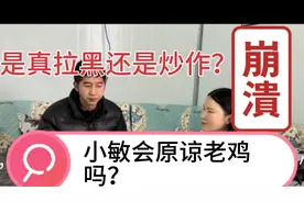 小敏会回心转意？看老鸡如何挽回小敏。视频封面
