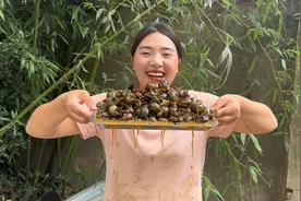 薛漂亮偷摸下河摸田螺，大厂做麻辣炒田螺，最后媳妇的举动很尴尬视频封面