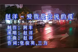赵洋 - 爱我是你说的谎，我心已经全部是伤，我心已经百孔千疮视频封面