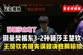 樊振东蒯曼3-2胜王楚钦孙颖莎组合晋级混双4强视频封面