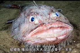 适合大人听的睡前故事