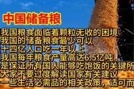 《我国的储备粮食最少可以满足14亿人吃一年以上》视频封面