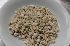 自制养生茶，除湿健脾，喝出健康！视频封面