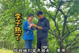 爸爸老是爱和妈妈斗嘴，但是妈妈生病了都是爸爸无微不至的照顾视频封面