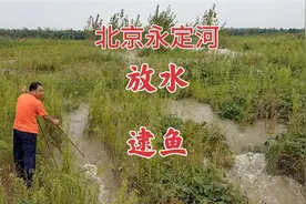 北京永定河水头到固安，被巨大水坑拦住去路，水流变湍急视频封面