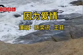 《因为爱情》视频封面
