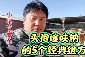 头孢噻呋钠的5个经典组方，用好了，解决牛病大问题视频封面