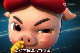 不同版本的铁拳虎视频封面