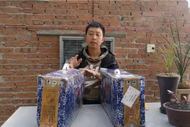 山东兰友把家里几十盆兰花无偿的送给我，拆箱看看都有什么品种？视频封面