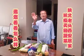 陕北老头西安居家抗疫第十七天188元买一箱菜，大家看看怎么样？视频封面