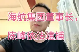 高杠杆，高负债的海航集团，原董事长陈峰，及高管被逮捕。恒大呢视频封面