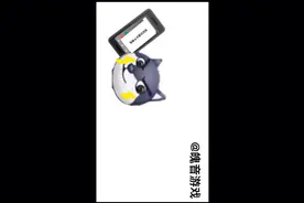 人人都是平等的这是我听过最搞笑的一句话了。(搬运)视频封面