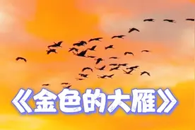 次仁德吉1974年演唱《金色的大雁》表达藏族同胞对毛主席热爱之情视频封面