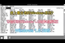 史上最古老的Windows系统？带你体验Windows 1.0 DR5！视频封面