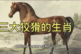 十二生肖中特狡猾的三大生肖，说的可能就是你喔视频封面