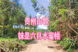 贵州情话，就是用山歌表达情情爱爱，《妹是六月水蜜桃》真好听！