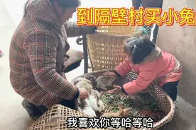 今天隔壁村有小兔要卖，我们和玲玲一起去买几只小兔子回来喂视频封面