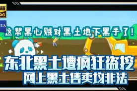 东北黑土遭疯狂盗挖，网上平台黑土售卖均为非法，网购需谨慎视频封面