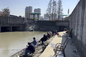 上海市内野钓免费且最过手瘾的网红打卡地——清水河桥，钓位充足视频封面