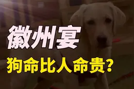 徽州宴狗命贵，老板娘遛狗言语怒众，养狗话题值得深层次思考？视频封面