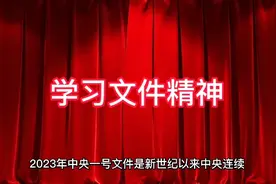 文件精神视频封面