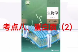 高中生物必修一考点讲解（八）蛋白质（第2课时），持续更新中…视频封面