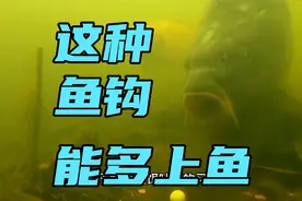 大鱼一旦吸入钩饵，就吐不出钩，这样的钩才是你多钓大鲤鱼的保证视频封面
