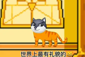世界上最有“礼貌”的猫🐱视频封面