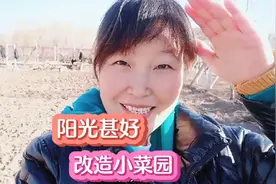 春天的气息越来越浓，小菜园继续改造，做个蓄水池，旧砖再利用视频封面