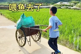 别在该奋斗的年纪选择了安逸，少做白日梦，未来的理想才能实现视频封面