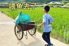别在该奋斗的年纪选择了安逸，少做白日梦，未来的理想才能实现视频封面
