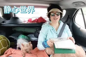 这天说变就变，城里响晴薄日，山里电闪雷鸣，老两口知难而退视频封面