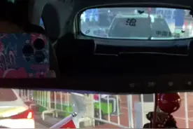 我在人间凑数的日子图片