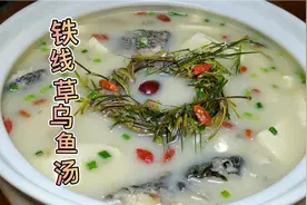 铁线草乌鱼汤，老公搬东西砸着脚了，吃这个汤好的快视频封面