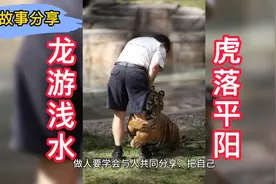 上树莫上尖，走路莫走边，事事留一半，日后好相见。这句话对吗？视频封面