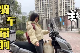 妹子入手万元摩托准备带狗子跑长途，脚踏有点窄，如何解决？视频封面
