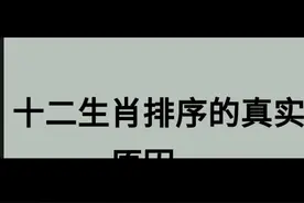 十二生肖一排序视频封面