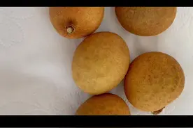 一定要好好照顾你的胃视频封面
