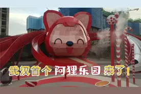 武汉首个阿狸乐园来了！超大卡通型滑梯超好玩，塔子湖溜娃好去处视频封面