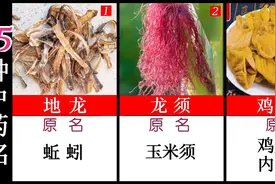 意想不到的15种中药名称，你都认识吗？#涨知识视频封面