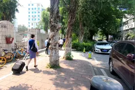广州白云区有一条空姐村，空姐们穿着都很接地气，和常人一样视频封面
