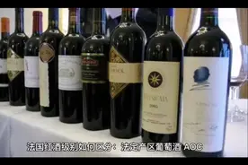 如何区分红酒的等级视频封面